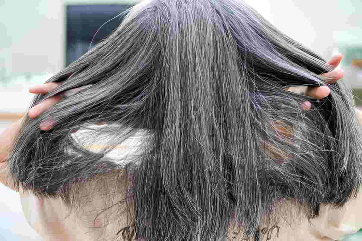 Transition-Gray-Blending-for-Dark-Hair.jpg